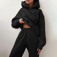 2 pieces  Hooded Sweatsuit