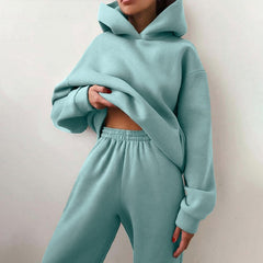 2 pieces  Hooded Sweatsuit