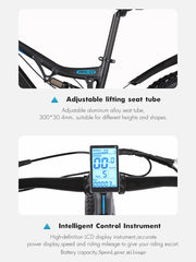 Electric Mountain Bike