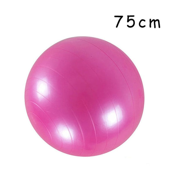 Fitness Stability Ball