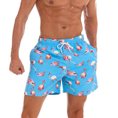 Men's Swimwear Shorts