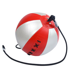 Leather Boxing Speed Ball