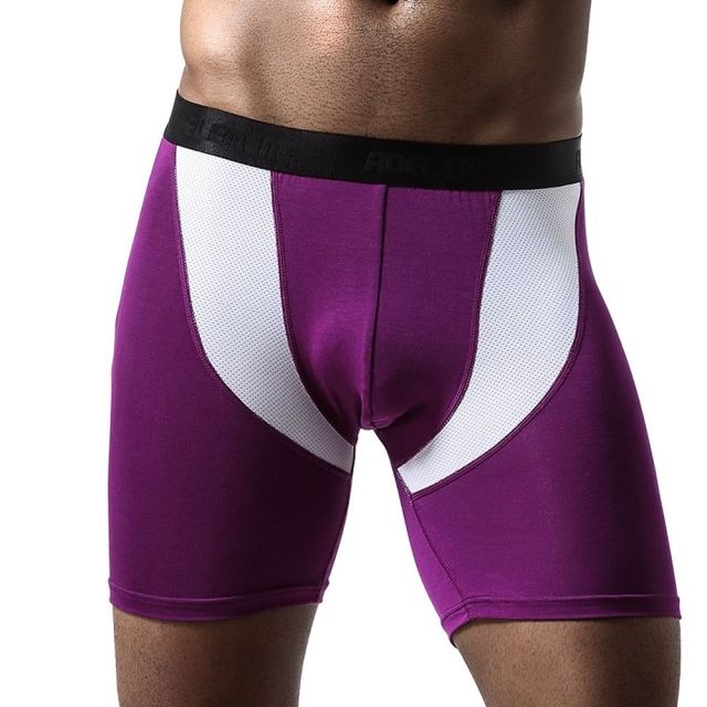 Summer Men's Mesh ice silk breathable Underwear Boxer Briefs No Ride-up  Sport Underpants